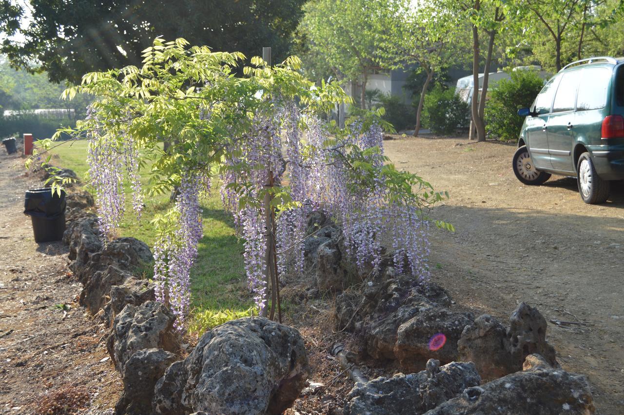 Camping La Brena Hotel Almodovar del Rio Bagian luar foto